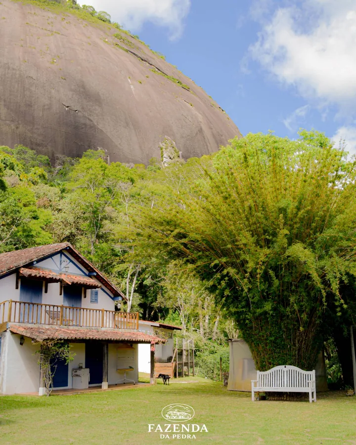 Casa de janelas azuis sob a pedra, ao lado de um bambuzal e um banco branco